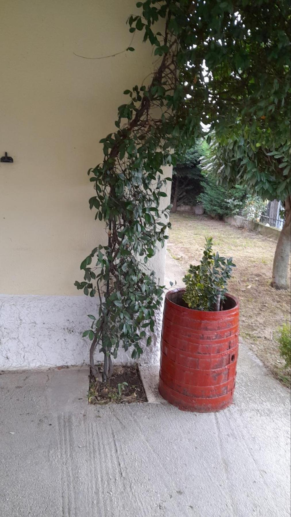 Little Hidden Paradise Trikala  Exterior photo